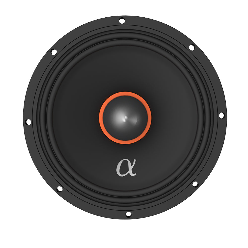 ABM65 Midrange Speaker Pair