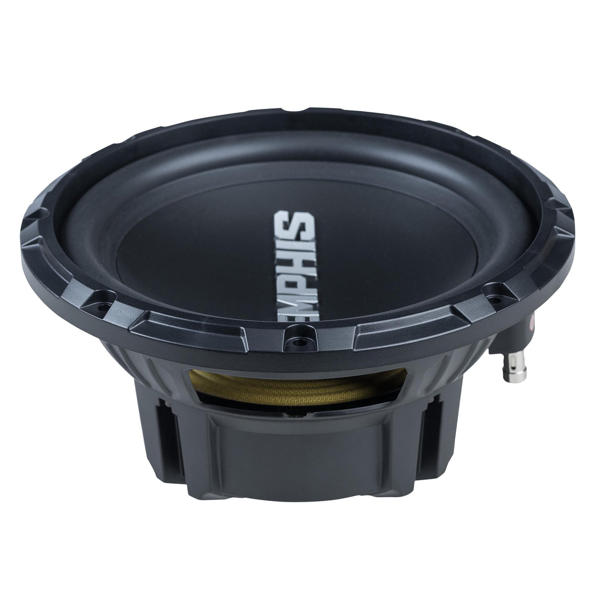 SRX 10" DUAL 4 OHM SUB